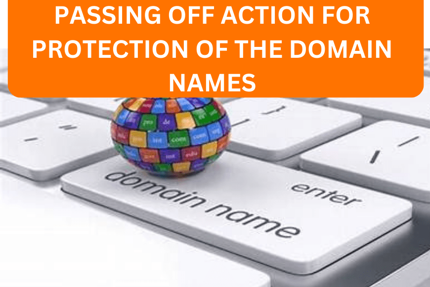 PASSING OFF ACTION FOR PROTECTION OF THE DOMAIN NAMES